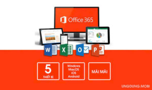 Sử dụng Microsoft Office 365