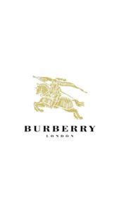 Burberry vector